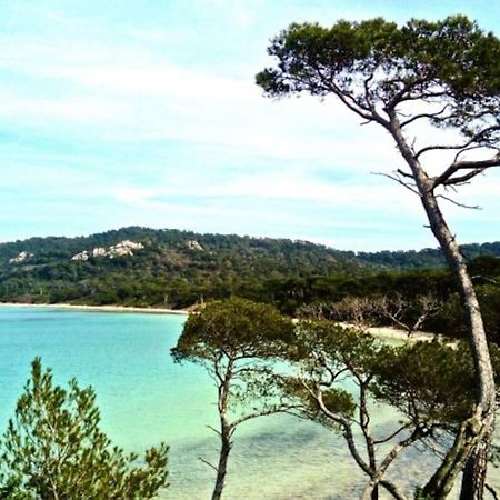 Ile De Porquerolles : T3 Climatise Vue Mer Екстериор снимка