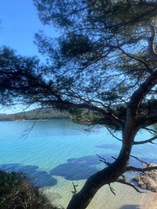 Ile De Porquerolles : T3 Climatise Vue Mer Екстериор снимка